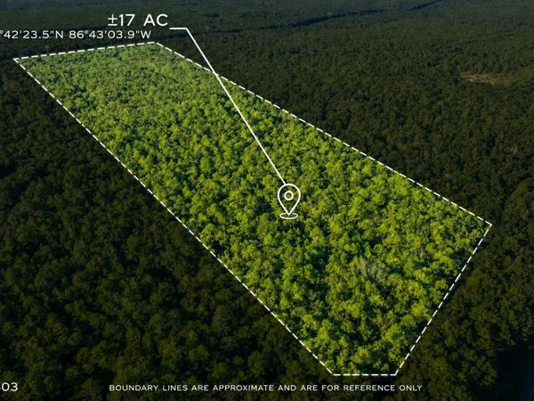 17 Acres Lyons Place, Holt, FL 32564