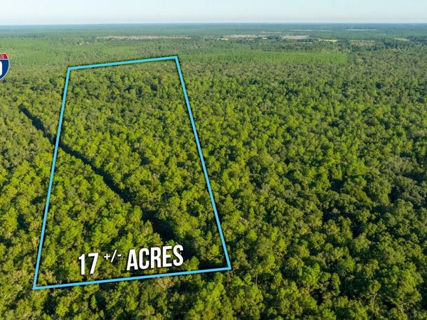 17 Acres Lyons Place, Holt, FL 32564