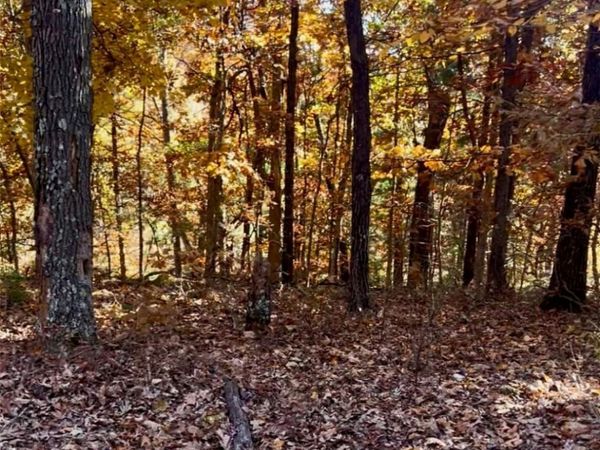 Lot 70 Newbury Lane, Bella Vista, AR 72714