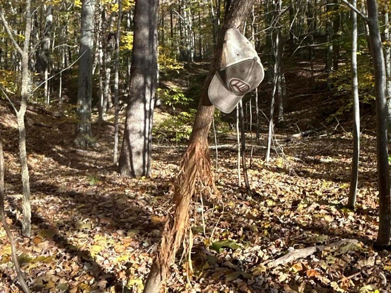 329 Kinzer Road, Bainbridge, OH 45612 Photo 43