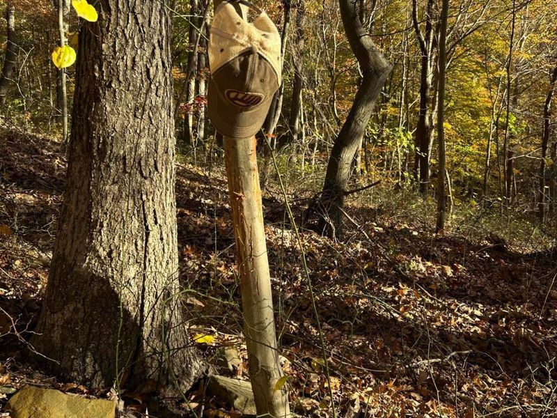 329 Kinzer Road, Bainbridge, OH 45612 Photo 48