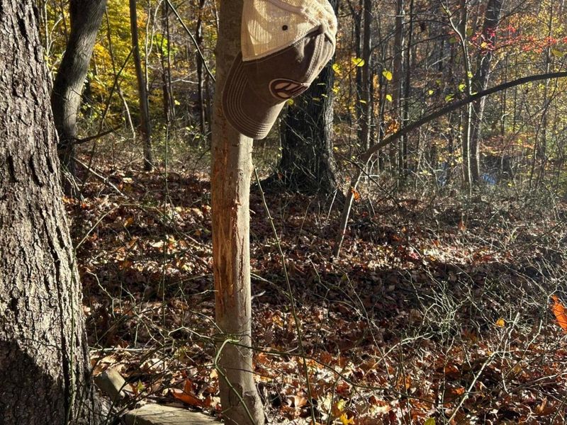 329 Kinzer Road, Bainbridge, OH 45612 Photo 49