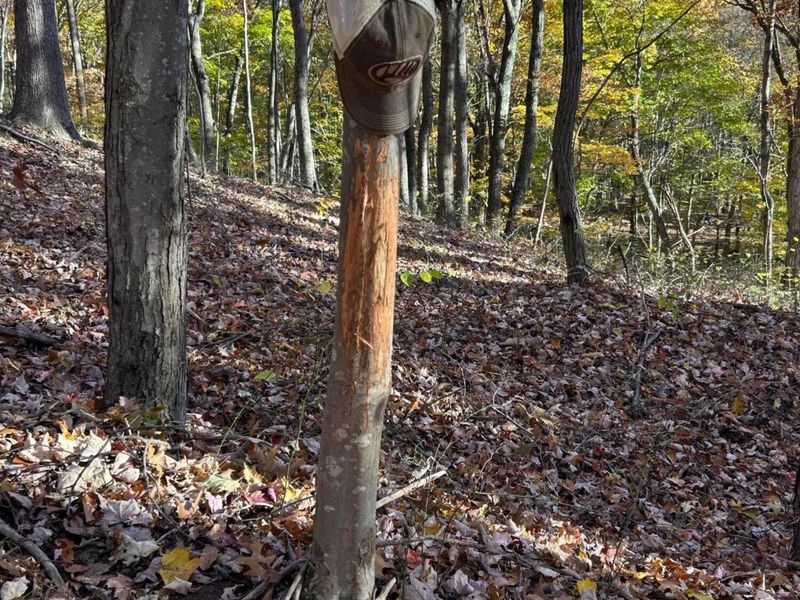 329 Kinzer Road, Bainbridge, OH 45612 Photo 50