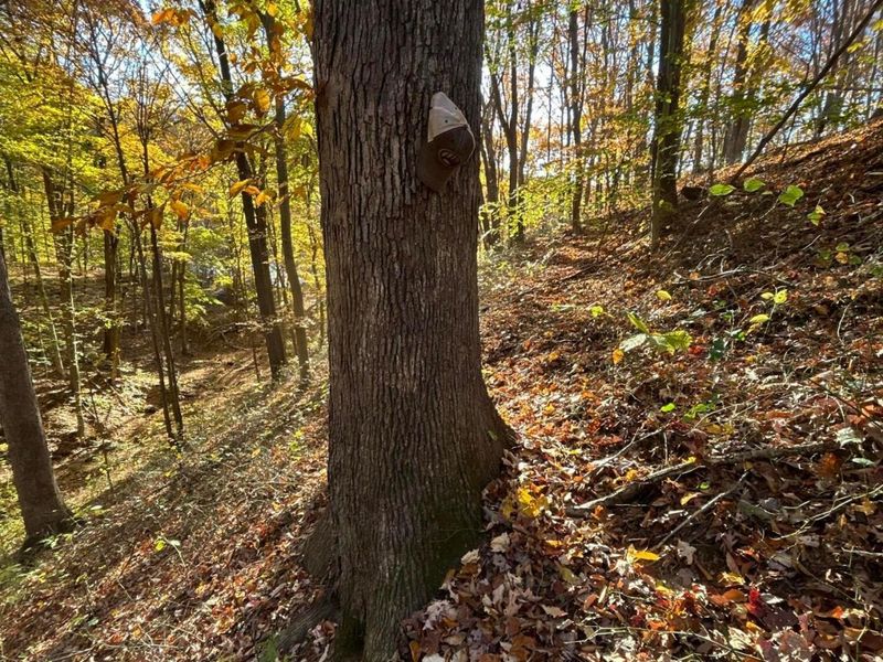 329 Kinzer Road, Bainbridge, OH 45612 Photo 52