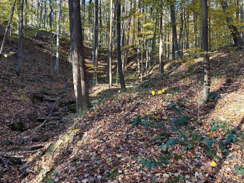 329 Kinzer Road, Bainbridge, OH 45612 Photo 53