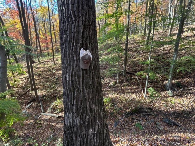 329 Kinzer Road, Bainbridge, OH 45612 Photo 57