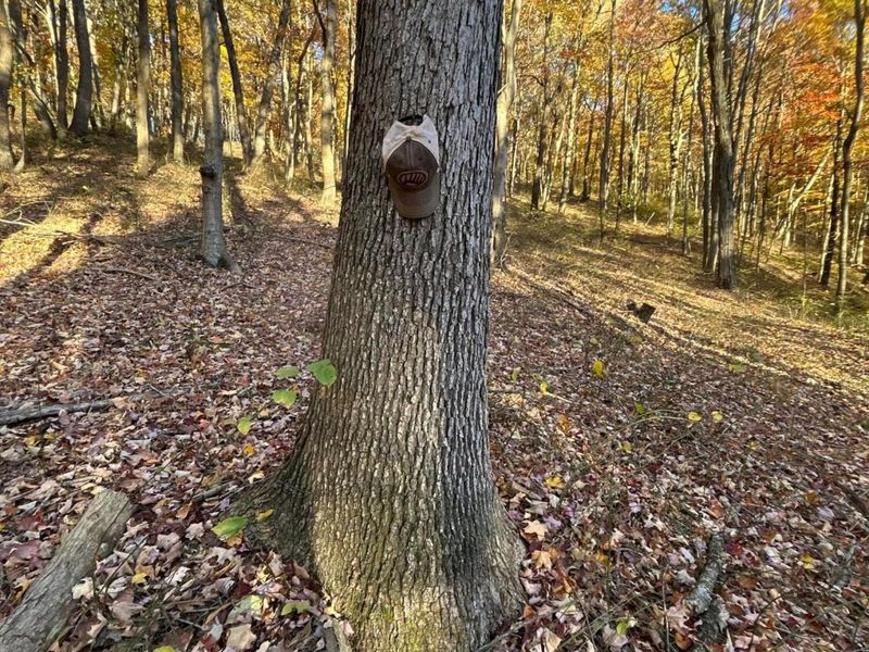 329 Kinzer Road, Bainbridge, OH 45612 Photo 58