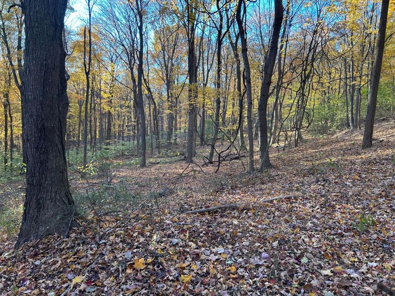 329 Kinzer Road, Bainbridge, OH 45612 Photo 59