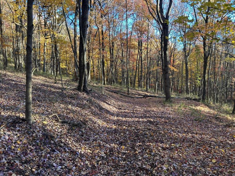 329 Kinzer Road, Bainbridge, OH 45612 Photo 61