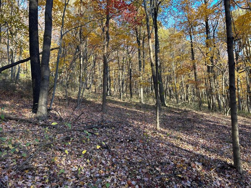 329 Kinzer Road, Bainbridge, OH 45612 Photo 62