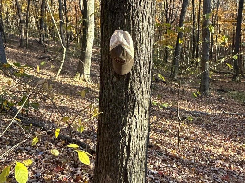 329 Kinzer Road, Bainbridge, OH 45612 Photo 63