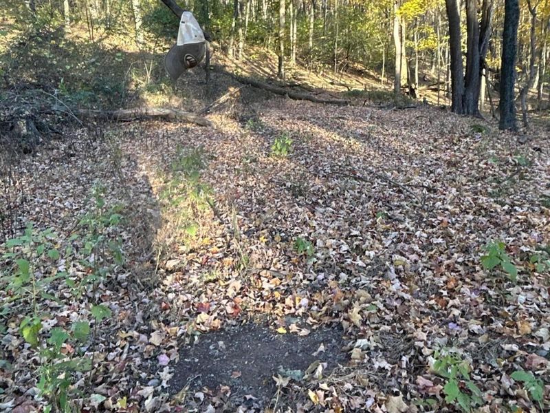 329 Kinzer Road, Bainbridge, OH 45612 Photo 64