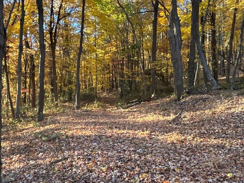 329 Kinzer Road, Bainbridge, OH 45612 Photo 65