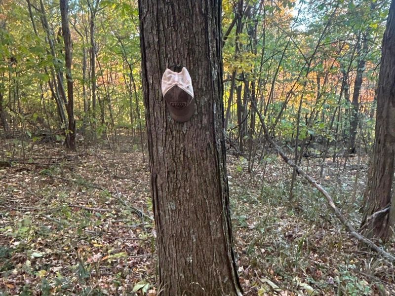 329 Kinzer Road, Bainbridge, OH 45612 Photo 66