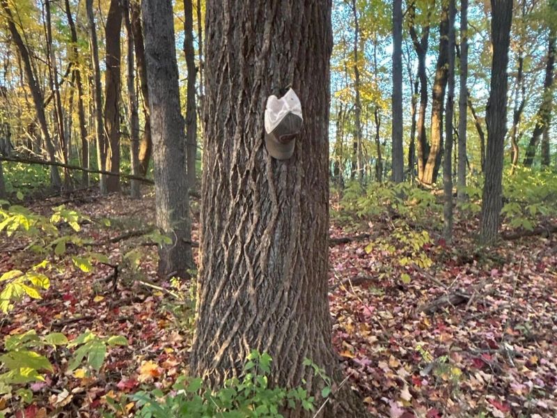 329 Kinzer Road, Bainbridge, OH 45612 Photo 67