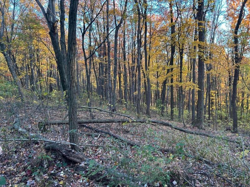 329 Kinzer Road, Bainbridge, OH 45612 Photo 68