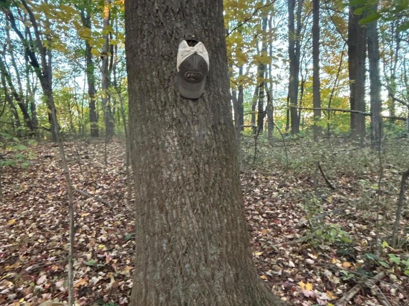 329 Kinzer Road, Bainbridge, OH 45612 Photo 69