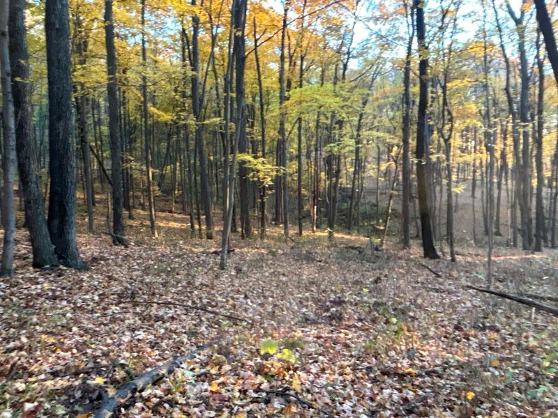 329 Kinzer Road, Bainbridge, OH 45612 Photo 70