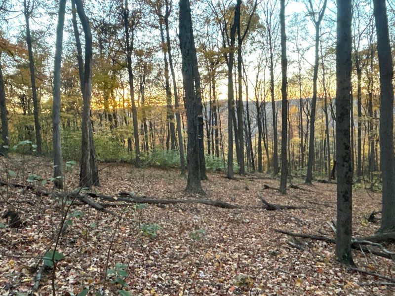 329 Kinzer Road, Bainbridge, OH 45612 Photo 71