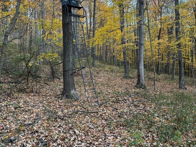 329 Kinzer Road, Bainbridge, OH 45612 Photo 72