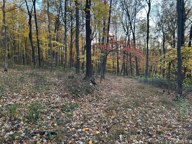 329 Kinzer Road, Bainbridge, OH 45612 Photo 73