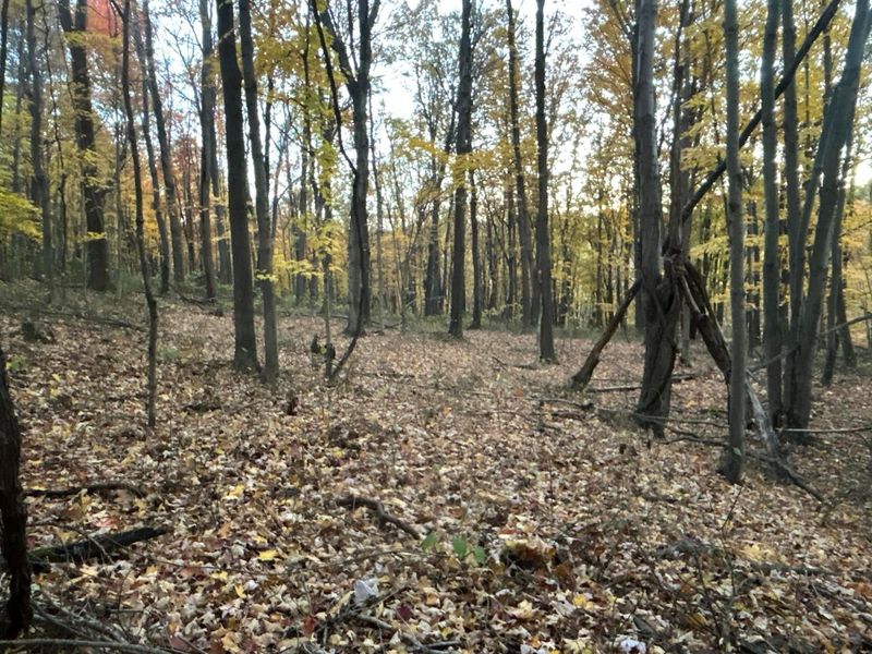 329 Kinzer Road, Bainbridge, OH 45612 Photo 74