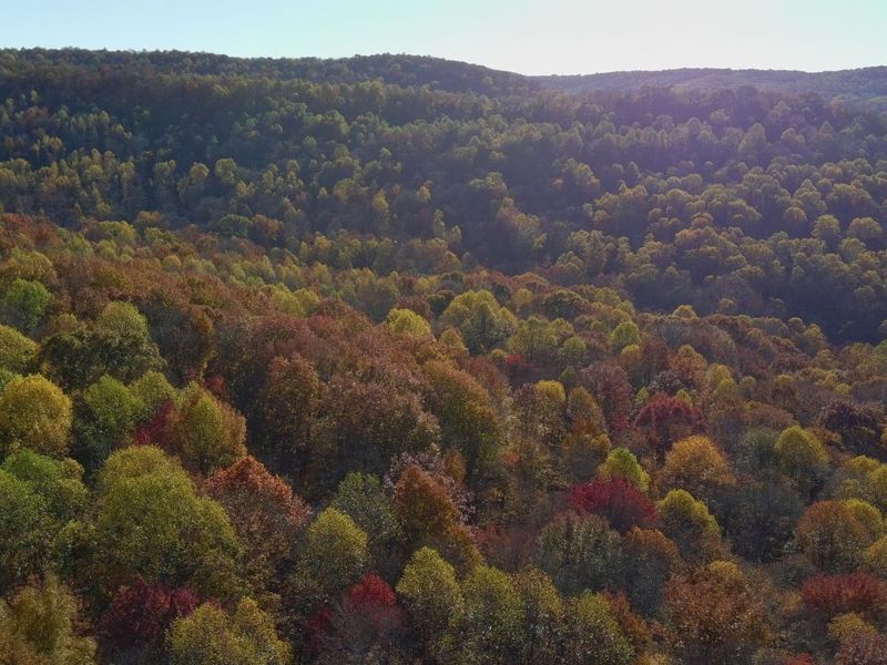 329 Kinzer Road, Bainbridge, OH 45612 Photo 76