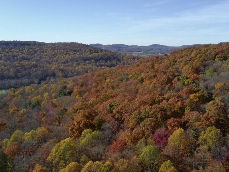 329 Kinzer Road, Bainbridge, OH 45612 Photo 77