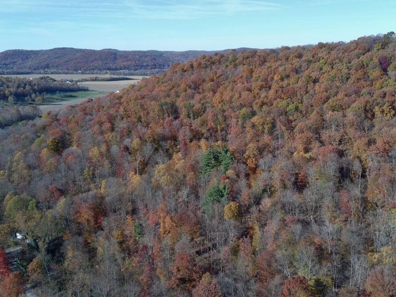 329 Kinzer Road, Bainbridge, OH 45612 Photo 78