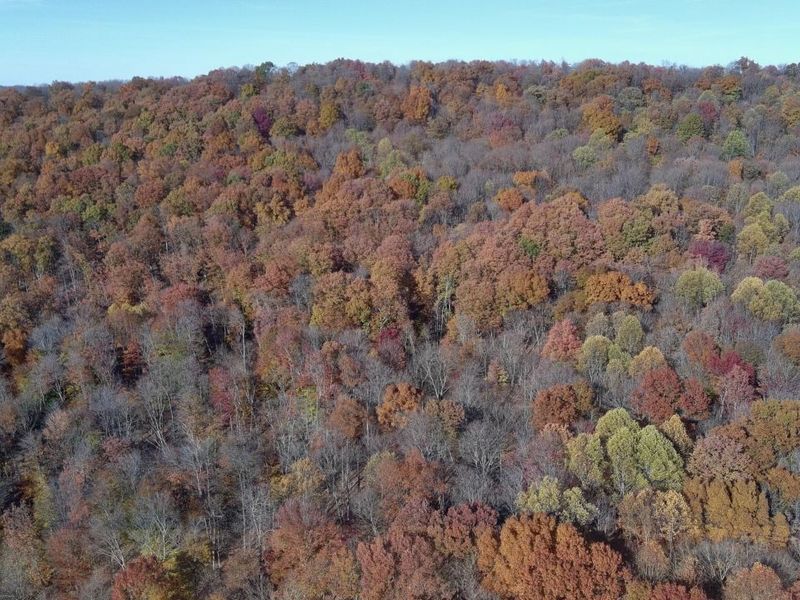 329 Kinzer Road, Bainbridge, OH 45612 Photo 79