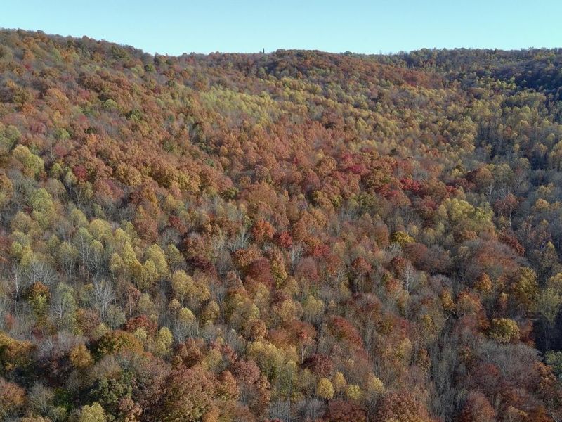 329 Kinzer Road, Bainbridge, OH 45612 Photo 80