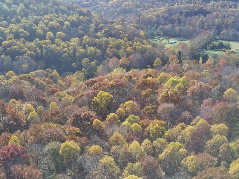 329 Kinzer Road, Bainbridge, OH 45612 Photo 81