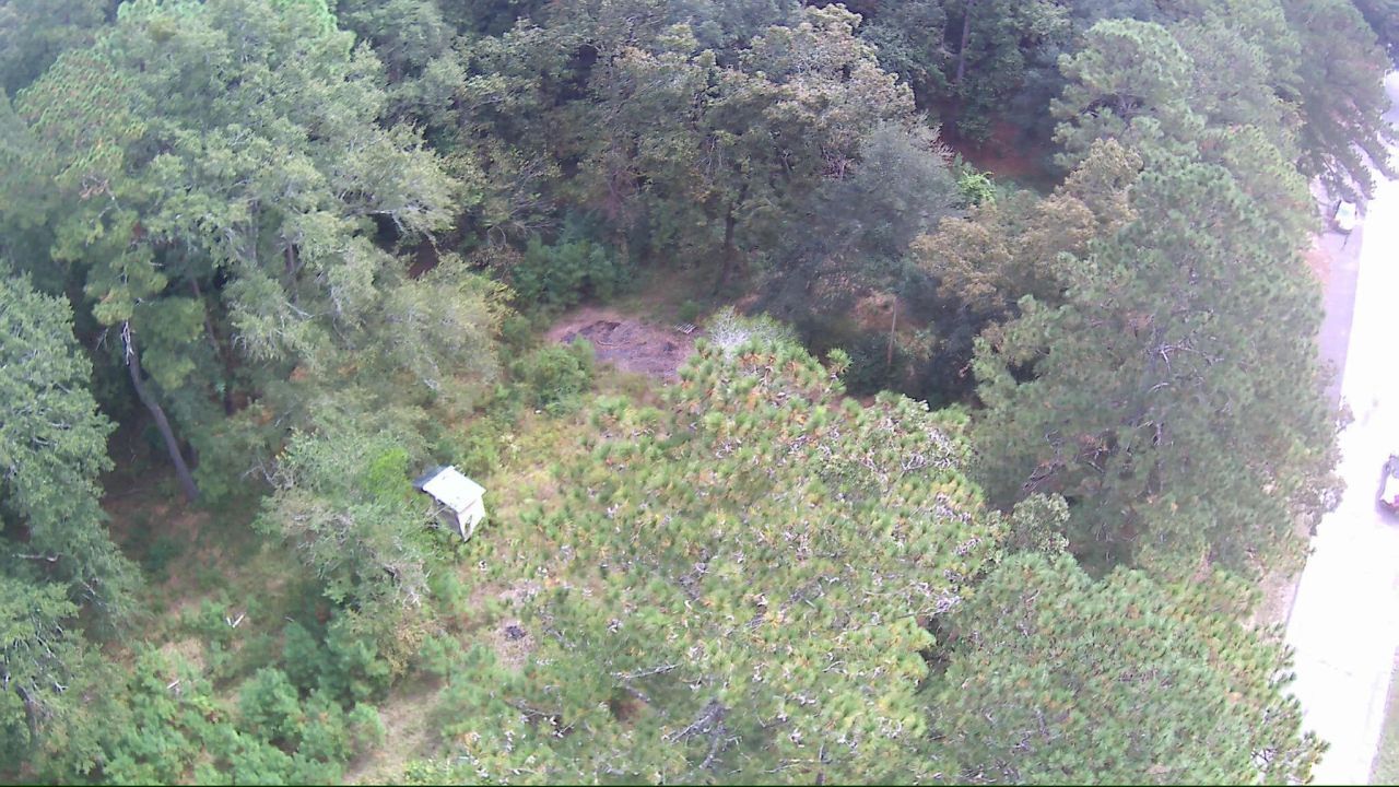 6336 North Road Photo 12