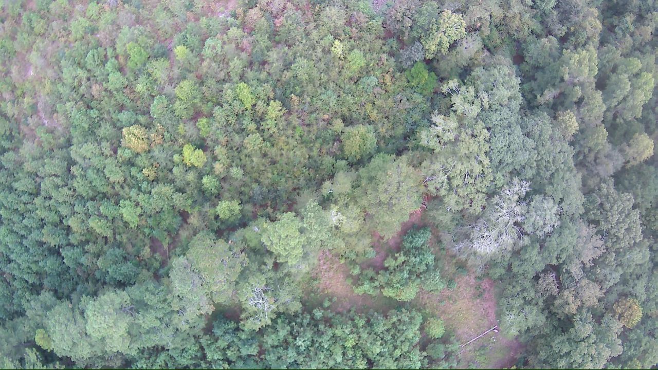 6336 North Road Photo 18