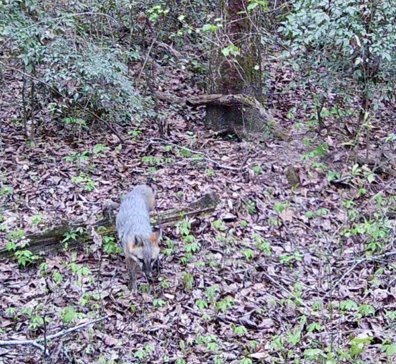 6336 North Road Photo 19