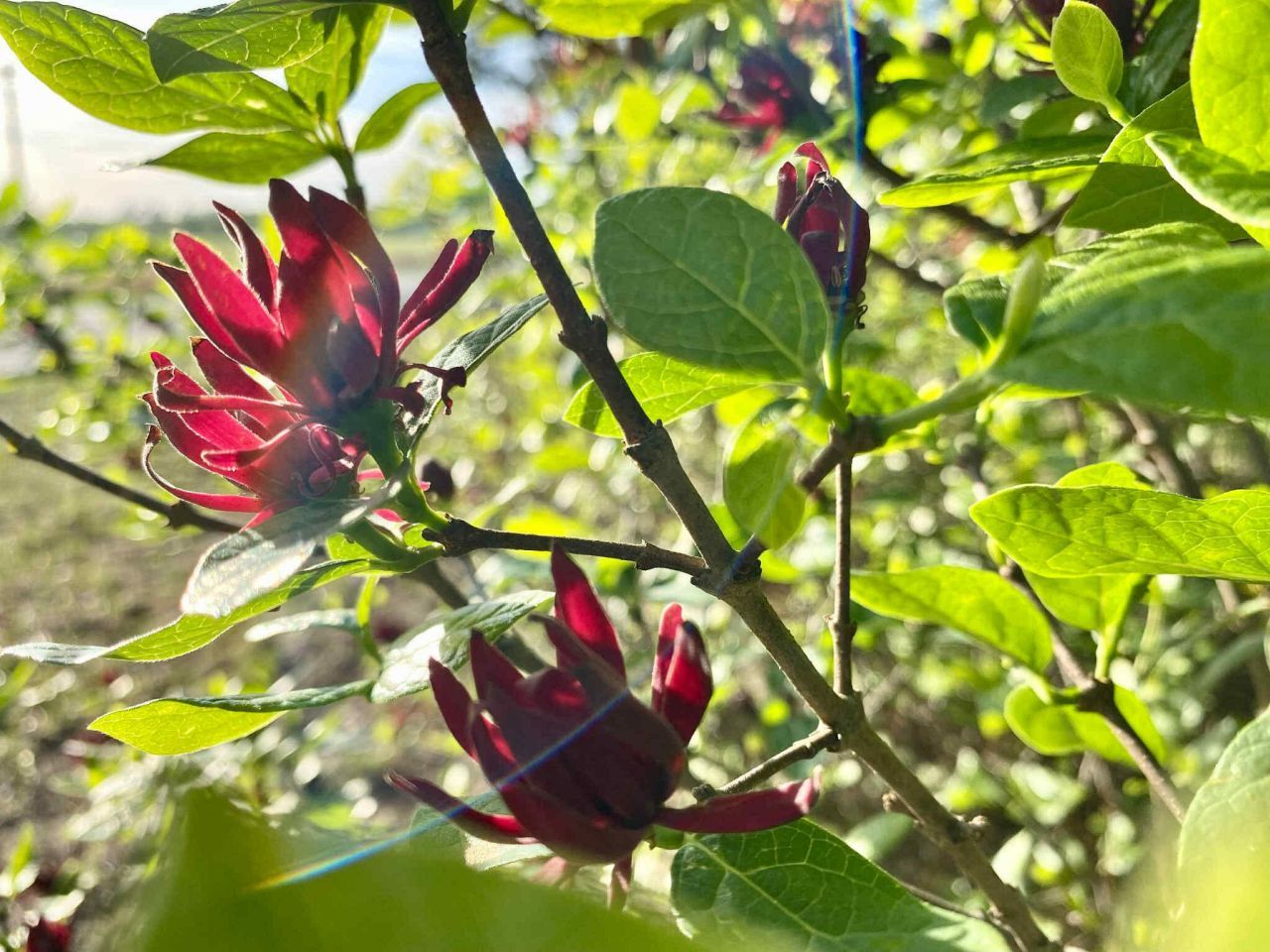 6336 North Road Photo 21