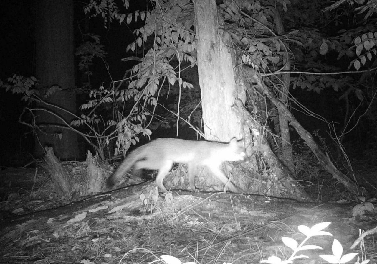 6336 North Road Photo 24