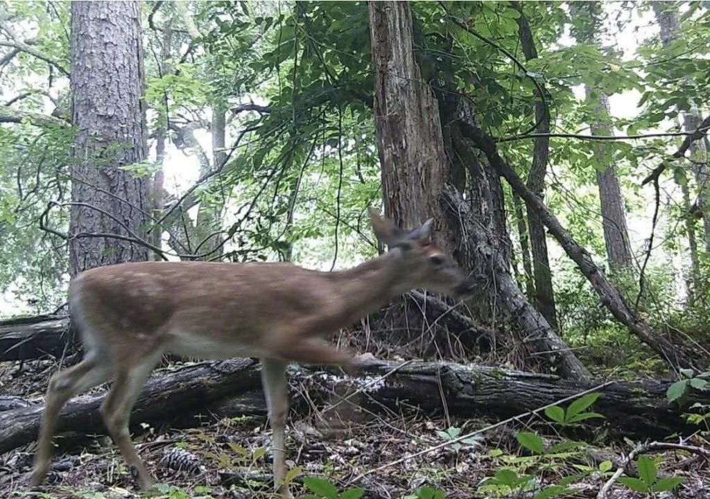 6336 North Road Photo 25