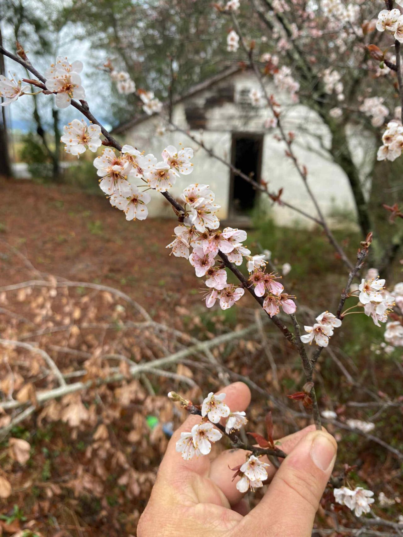 6336 North Road Photo 26