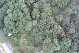 6336 North Road photo 4