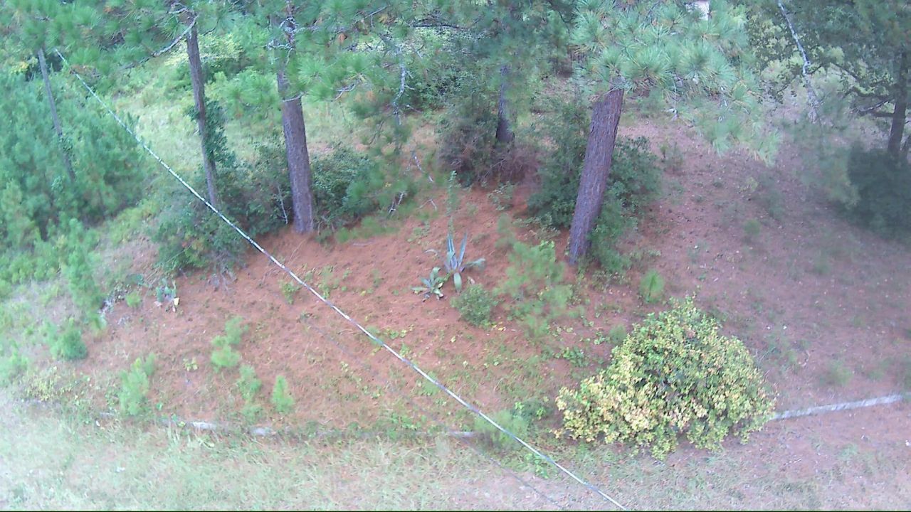 6336 North Road Photo 6