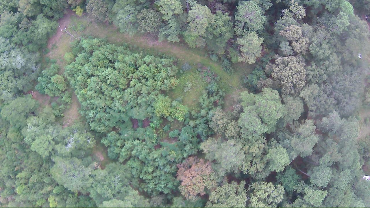 6336 North Road Photo 8