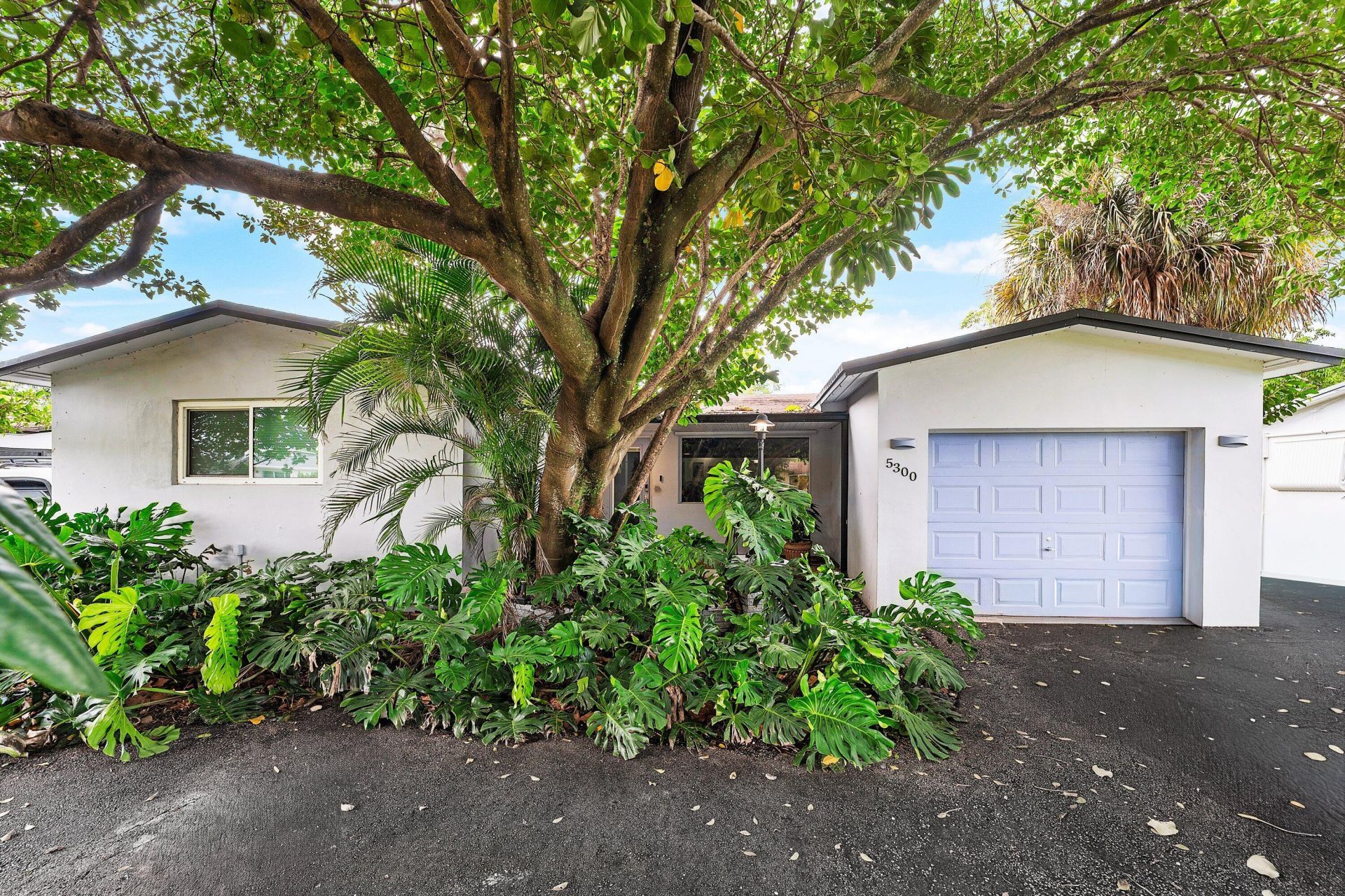 5300 Tyler Street, Hollywood, FL 33021 Photo