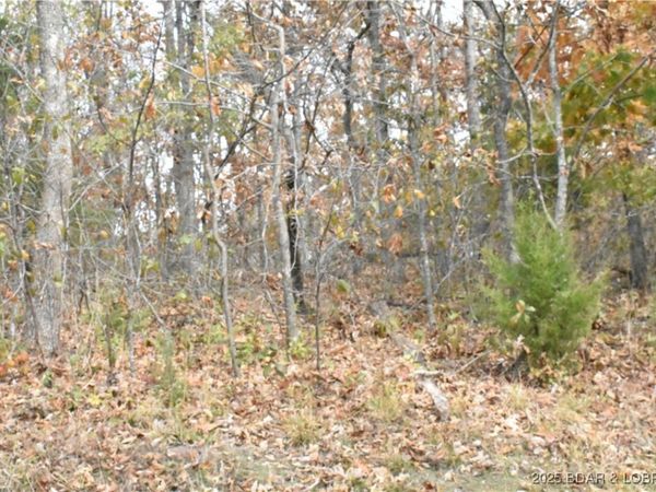 Lot 220 Imperial Point Drive, Lake Ozark, MO 65049