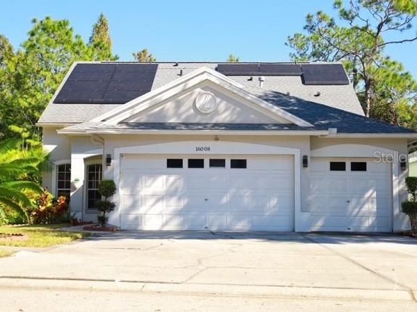 16008 STAGS LEAP DRIVE, LUTZ, FL 33559
