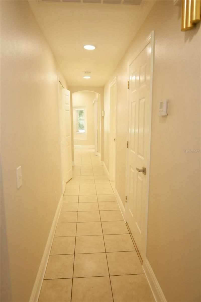 16008 Stags Leap Drive, Lutz, FL 33559 Photo