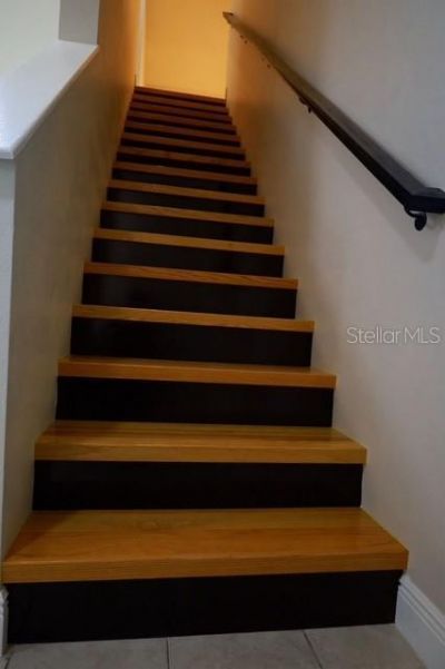 16008 Stags Leap Drive, Lutz, FL 33559 Photo