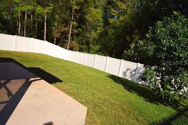 16008 Stags Leap Drive, Lutz, FL 33559 Photo