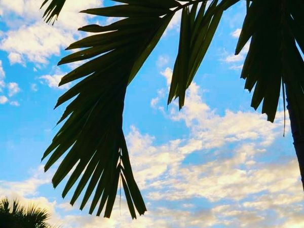 6078 Dusenburg Road, Delray Beach, FL 33484