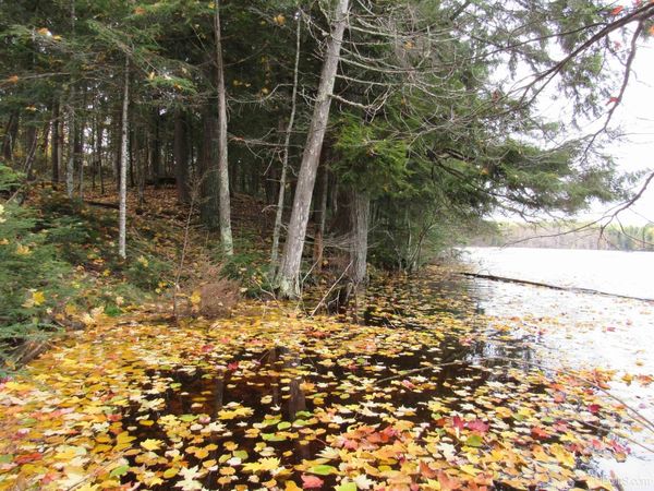 Lot 9 Little Africa Lake Road, Watersmeet Twp, MI 49969